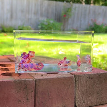Cargar y reproducir el video en el visor de la galería, Koi Marble Betta Sorority Pack
