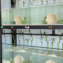 Cargar y reproducir el video en el visor de la galería, Realistic Artificial Aquarium Plant | Multi-Pack
