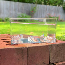 Cargar y reproducir el video en el visor de la galería, Blue Marble Dot Betta Sorority Pack
