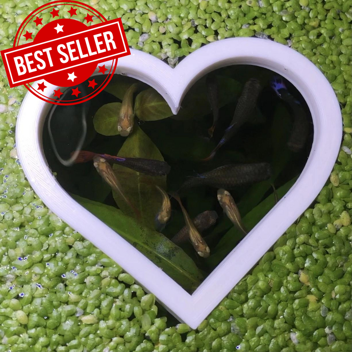 Heart Portal Feeding Ring