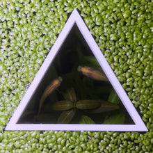 Load image into Gallery viewer, Triangle Portal Feeding Ring
