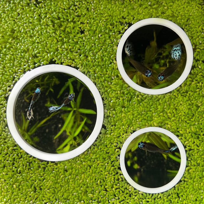 3 Circle Portals