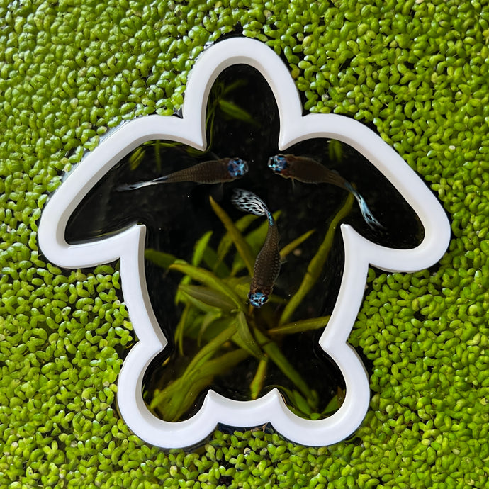 Turtle Portal Feeding Ring